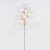 Artificial Flower Cape gooseberry single stem GS-71826003_3 Artificial Flower 28*7*100cm Cape gooseberry single stem GS-71826003 2026Aug 3,000+ sqm showroom with thousands of artificial flowers, plants & trees ready for global sourcing.