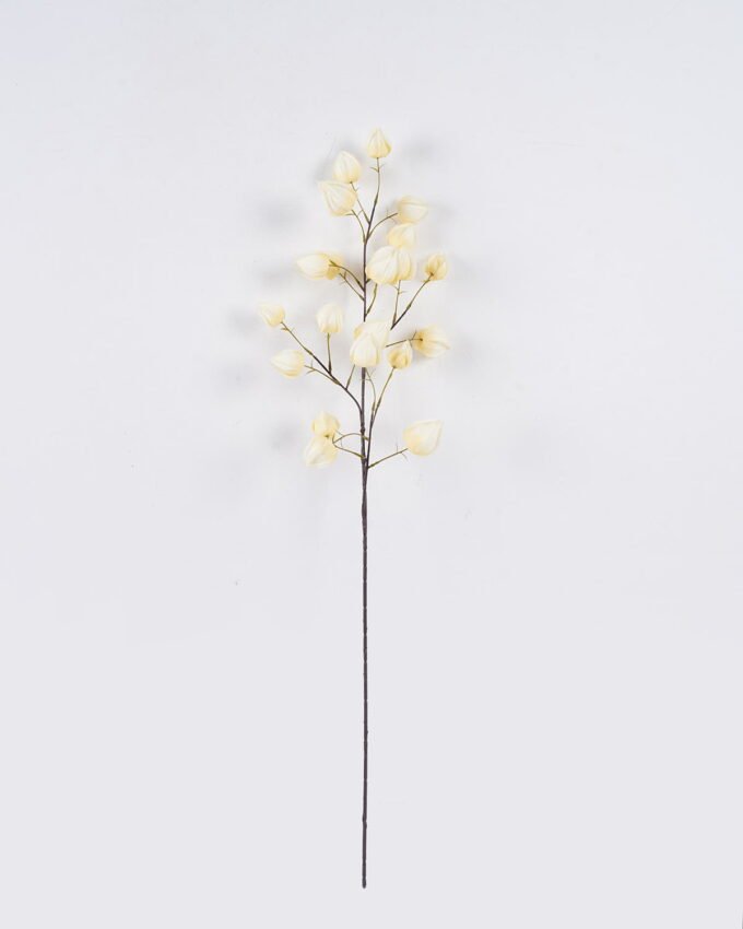 Artificial Flower Cape gooseberry single stem GS-71826003_3 Artificial Flower 28*7*100cm Cape gooseberry single stem GS-71826003 2026Aug 3,000+ sqm showroom with thousands of artificial flowers, plants & trees ready for global sourcing.