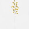 Artificial Flower Cape gooseberry single stem GS-71826003_4 Artificial Flower 28*7*100cm Cape gooseberry single stem GS-71826003 2026Aug 3,000+ sqm showroom with thousands of artificial flowers, plants & trees ready for global sourcing.