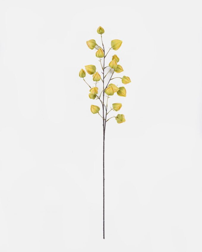 Artificial Flower Cape gooseberry single stem GS-71826003_4 Artificial Flower 28*7*100cm Cape gooseberry single stem GS-71826003 2026Aug 3,000+ sqm showroom with thousands of artificial flowers, plants & trees ready for global sourcing.