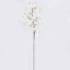 Artificial Flower Cape gooseberry single stem GS-71826003_5 Artificial Flower 28*7*100cm Cape gooseberry single stem GS-71826003 2026Aug 3,000+ sqm showroom with thousands of artificial flowers, plants & trees ready for global sourcing.