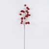 Artificial Flower Cape gooseberry single stem GS-71826003_6 Artificial Flower 28*7*100cm Cape gooseberry single stem GS-71826003 2026Aug 3,000+ sqm showroom with thousands of artificial flowers, plants & trees ready for global sourcing.