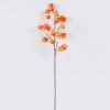 Artificial Flower Cape gooseberry single stem GS-71826003_7 Artificial Flower 28*7*100cm Cape gooseberry single stem GS-71826003 2026Aug 3,000+ sqm showroom with thousands of artificial flowers, plants & trees ready for global sourcing.