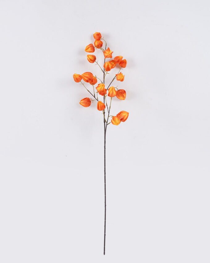 Artificial Flower Cape gooseberry single stem GS-71826003_7 Artificial Flower 28*7*100cm Cape gooseberry single stem GS-71826003 2026Aug 3,000+ sqm showroom with thousands of artificial flowers, plants & trees ready for global sourcing.