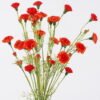Artificial Flower Carnation 5 bouquet GS-00526045-O1_2 Artificial Flower 20*10*79cm Carnation *5 bouquet GS-00526045-O1 2026Jun 3,000+ sqm showroom with thousands of artificial flowers, plants & trees ready for global sourcing.