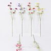 Artificial Flower Carnation single stem GS-00526037_1 Artificial Flower 10*6*79cm Carnation single stem GS-00526037 2026Jun 3,000+ sqm showroom with thousands of artificial flowers, plants & trees ready for global sourcing.