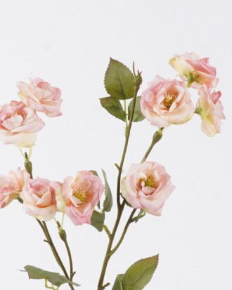 Artificial Flower 14*6*63cm Chinese rose single stem GS-35126010-P2 2026Jul 3,000+ sqm showroom with thousands of artificial flowers, plants & trees ready for global sourcing. Artificial Flower 14*6*63cm Chinese rose single stem GS-35126010-P2 2026Jul 3,000+ sqm showroom with thousands of artificial flowers, plants & trees ready for global sourcing.