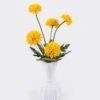 Artificial Flower Chrysanthemum in glass ware GS-16826013-Y1_3 Artificial Flower 12*9*34cm Chrysanthemum in glass ware GS-16826013-Y1 2026Jul 3,000+ sqm showroom with thousands of artificial flowers, plants & trees ready for global sourcing.