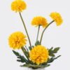 Artificial Flower Chrysanthemum in glass ware GS-16826013-Y1_4 Artificial Flower 12*9*34cm Chrysanthemum in glass ware GS-16826013-Y1 2026Jul 3,000+ sqm showroom with thousands of artificial flowers, plants & trees ready for global sourcing.