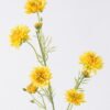 Artificial Flower Chrysanthemum single stem GS-00526035-Y1_1 Artificial Flower 12*6*79cm Chrysanthemum single stem GS-00526035-Y1 2026Jun 3,000+ sqm showroom with thousands of artificial flowers, plants & trees ready for global sourcing.