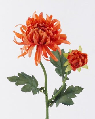 Artificial Flower 15*8*60cm Chrysanthemum single stem GS-84226002-O1 2026SEP 3,000+ sqm showroom with thousands of artificial flowers, plants & trees ready for global sourcing. Artificial Flower 15*8*60cm Chrysanthemum single stem GS-84226002-O1 2026SEP 3,000+ sqm showroom with thousands of artificial flowers, plants & trees ready for global sourcing.