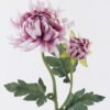 Artificial Flower Chrysanthemum single stem GS-84226002-Z2_2 Artificial Flower 15*8*60cm Chrysanthemum single stem GS-84226002-Z2 2026SEP 3,000+ sqm showroom with thousands of artificial flowers, plants & trees ready for global sourcing.