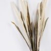 Artificial Flower Ciliate desert-grass 2 bundle GS-37526008_2 Artificial Flower 11*4*78cm Ciliate desert-grass *2 bundle GS-37526008 2026Jul 3,000+ sqm showroom with thousands of artificial flowers, plants & trees ready for global sourcing.