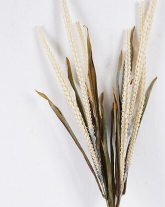 Artificial Flower 11*4*78cm Ciliate desert-grass *2 bundle GS-37526008 2026Jul 3,000+ sqm showroom with thousands of artificial flowers, plants & trees ready for global sourcing. Artificial Flower 11*4*78cm Ciliate desert-grass *2 bundle GS-37526008 2026Jul 3,000+ sqm showroom with thousands of artificial flowers, plants & trees ready for global sourcing.