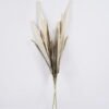 Artificial Flower Ciliate desert-grass 2 bundle GS-37526008_3 Artificial Flower 11*4*78cm Ciliate desert-grass *2 bundle GS-37526008 2026Jul 3,000+ sqm showroom with thousands of artificial flowers, plants & trees ready for global sourcing.