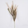 Artificial Flower Ciliate desert-grass 2 bundle GS-37526008_6 Artificial Flower 11*4*78cm Ciliate desert-grass *2 bundle GS-37526008 2026Jul 3,000+ sqm showroom with thousands of artificial flowers, plants & trees ready for global sourcing.