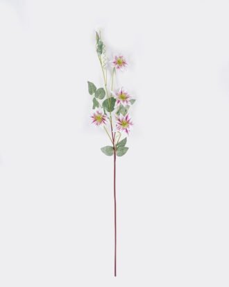 Artificial Flower 10*8*78cm Clematis single stem GS-83526007-R1 2026SEP 3,000+ sqm showroom with thousands of artificial flowers, plants & trees ready for global sourcing. Artificial Flower 10*8*78cm Clematis single stem GS-83526007-R1 2026SEP 3,000+ sqm showroom with thousands of artificial flowers, plants & trees ready for global sourcing.