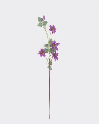 Artificial Flower 10*8*78cm Clematis single stem GS-83526007-Z1 2026SEP 3,000+ sqm showroom with thousands of artificial flowers, plants & trees ready for global sourcing. Artificial Flower 10*8*78cm Clematis single stem GS-83526007-Z1 2026SEP 3,000+ sqm showroom with thousands of artificial flowers, plants & trees ready for global sourcing.