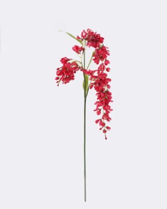 Artificial Flower 20*5*104cm Clerodendrum wallichii single stem GS-35126016-R1 2026Jul 3,000+ sqm showroom with thousands of artificial flowers, plants & trees ready for global sourcing. Artificial Flower 20*5*104cm Clerodendrum wallichii single stem GS-35126016-R1 2026Jul 3,000+ sqm showroom with thousands of artificial flowers, plants & trees ready for global sourcing.