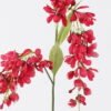 Artificial Flower Clerodendrum wallichii single stem GS-35126017_2 Artificial Flower 14*5*97cm Clerodendrum wallichii single stem GS-35126017 2026Jul 3,000+ sqm showroom with thousands of artificial flowers, plants & trees ready for global sourcing.