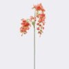 Artificial Flower Clerodendrum wallichii single stem GS-35126017_6 Artificial Flower 14*5*97cm Clerodendrum wallichii single stem GS-35126017 2026Jul 3,000+ sqm showroom with thousands of artificial flowers, plants & trees ready for global sourcing.