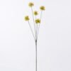Artificial Flower Common camptotheca fruit 5 single stem GS-77526002-Y1 Artificial Flower 19*10*69cm Common camptotheca fruit *5 single stem GS-77526002-Y1 2026Aug 3,000+ sqm showroom with thousands of artificial flowers, plants & trees ready for global sourcing.