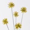 Artificial Flower Common camptotheca fruit 5 single stem GS-77526002-Y1_1 Artificial Flower 19*10*69cm Common camptotheca fruit *5 single stem GS-77526002-Y1 2026Aug 3,000+ sqm showroom with thousands of artificial flowers, plants & trees ready for global sourcing.