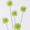 Artificial Flower Common camptotheca fruit 5 single stem GS-77526002_2 Artificial Flower 19*10*69cm Common camptotheca fruit *5 single stem GS-77526002 2026Aug 3,000+ sqm showroom with thousands of artificial flowers, plants & trees ready for global sourcing.