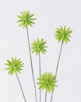 Artificial Flower 19*10*69cm Common camptotheca fruit *5 single stem GS-77526002 2026Aug 3,000+ sqm showroom with thousands of artificial flowers, plants & trees ready for global sourcing. Artificial Flower 19*10*69cm Common camptotheca fruit *5 single stem GS-77526002 2026Aug 3,000+ sqm showroom with thousands of artificial flowers, plants & trees ready for global sourcing.