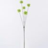 Artificial Flower Common camptotheca fruit 5 single stem GS-77526002_3 Artificial Flower 19*10*69cm Common camptotheca fruit *5 single stem GS-77526002 2026Aug 3,000+ sqm showroom with thousands of artificial flowers, plants & trees ready for global sourcing.