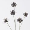 Artificial Flower 20*7*65cm Common camptotheca fruit *5 single stem GS-77526003 2026Aug 3,000+ sqm showroom with thousands of artificial flowers, plants & trees ready for global sourcing.