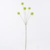 Artificial Flower 20*7*65cm Common camptotheca fruit *5 single stem GS-77526003 2026Aug 3,000+ sqm showroom with thousands of artificial flowers, plants & trees ready for global sourcing.
