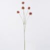 Artificial Flower 20*7*65cm Common camptotheca fruit *5 single stem GS-77526003 2026Aug 3,000+ sqm showroom with thousands of artificial flowers, plants & trees ready for global sourcing.