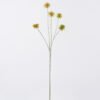 Artificial Flower 20*7*65cm Common camptotheca fruit *5 single stem GS-77526003 2026Aug 3,000+ sqm showroom with thousands of artificial flowers, plants & trees ready for global sourcing.
