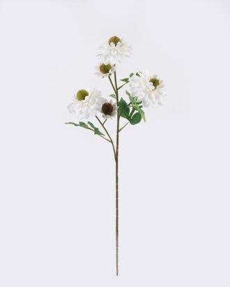 Artificial Flower 20*13*74cm Dahlia *5 single stem GS-35126001-W1 2026Jul 3,000+ sqm showroom with thousands of artificial flowers, plants & trees ready for global sourcing. Artificial Flower 20*13*74cm Dahlia *5 single stem GS-35126001-W1 2026Jul 3,000+ sqm showroom with thousands of artificial flowers, plants & trees ready for global sourcing.