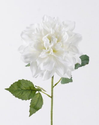 Artificial Flower 14*10*59cm Dahlia single stem GS-73826009-W1 2026Aug 3,000+ sqm showroom with thousands of artificial flowers, plants & trees ready for global sourcing. Artificial Flower 14*10*59cm Dahlia single stem GS-73826009-W1 2026Aug 3,000+ sqm showroom with thousands of artificial flowers, plants & trees ready for global sourcing.