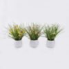 Artificial Flower Daisy grass in Cement pot GS-03326124_1 Artificial Flower 38*38*35cm Daisy grass in Cement pot GS-03326124 2026Jun 3,000+ sqm showroom with thousands of artificial flowers, plants & trees ready for global sourcing.