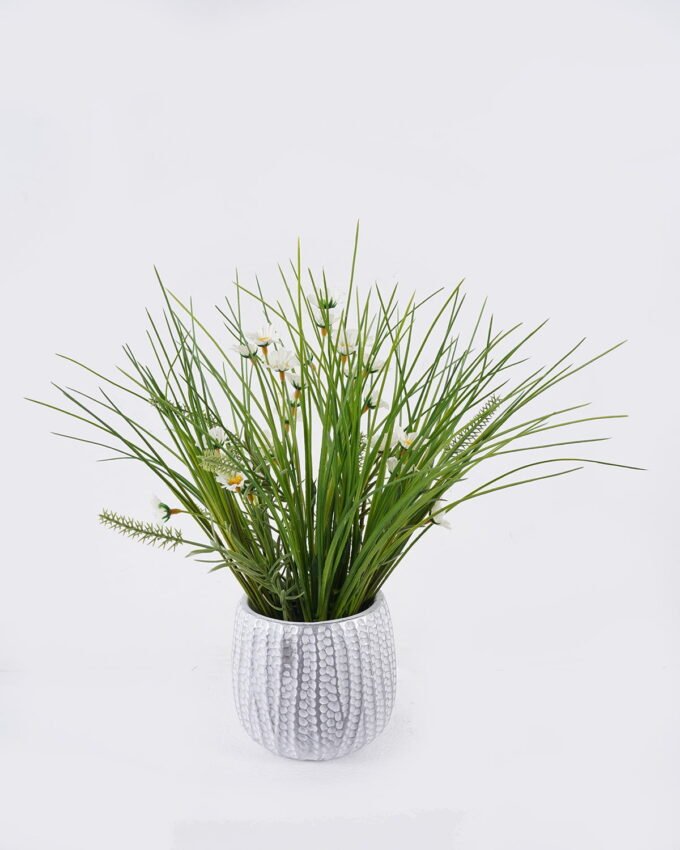 Artificial Flower Daisy grass in Cement pot GS-03326124_3 Artificial Flower 38*38*35cm Daisy grass in Cement pot GS-03326124 2026Jun 3,000+ sqm showroom with thousands of artificial flowers, plants & trees ready for global sourcing.