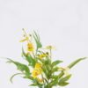Artificial Flower 15*5*29cm Dancing orchid in glass GS-77326003 2026Aug 3,000+ sqm showroom with thousands of artificial flowers, plants & trees ready for global sourcing.