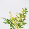 Artificial Flower 16*11*46cm Dancing orchid in glass GS-77326006 2026Aug 3,000+ sqm showroom with thousands of artificial flowers, plants & trees ready for global sourcing.