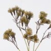 Artificial Flower Dandelion 3 single stem GS-61025009-G1_1 Artificial Flower 23*23*55cm Dandelion *3 single stem GS-61025009-G1 2026Aug 3,000+ sqm showroom with thousands of artificial flowers, plants & trees ready for global sourcing.