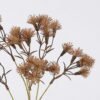 Artificial Flower Dandelion 3 single stem GS-61025009-K1_1 Artificial Flower 23*23*55cm Dandelion *3 single stem GS-61025009-K1 2026Aug 3,000+ sqm showroom with thousands of artificial flowers, plants & trees ready for global sourcing.