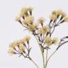 Artificial Flower Dandelion 3 single stem GS-61025009-Y1_1 Artificial Flower 23*23*55cm Dandelion *3 single stem GS-61025009-Y1 2026Aug 3,000+ sqm showroom with thousands of artificial flowers, plants & trees ready for global sourcing.