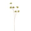 Artificial Flower 20*9*116cm Dandelion single stem GS-27926046-G1 2026Jul 3,000+ sqm showroom with thousands of artificial flowers, plants & trees ready for global sourcing.
