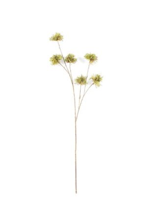 Artificial Flower 20*9*116cm Dandelion single stem GS-27926046-G1 2026Jul 3,000+ sqm showroom with thousands of artificial flowers, plants & trees ready for global sourcing. Artificial Flower 20*9*116cm Dandelion single stem GS-27926046-G1 2026Jul 3,000+ sqm showroom with thousands of artificial flowers, plants & trees ready for global sourcing.