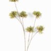 Artificial Flower 20*9*116cm Dandelion single stem GS-27926046-G1 2026Jul 3,000+ sqm showroom with thousands of artificial flowers, plants & trees ready for global sourcing.