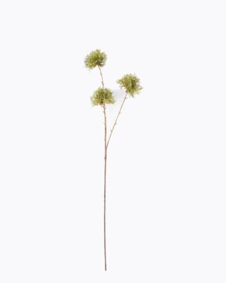 Artificial Flower 15*9*90cm Dandelion single stem GS-27926047 2026Jul 3,000+ sqm showroom with thousands of artificial flowers, plants & trees ready for global sourcing. Artificial Flower 15*9*90cm Dandelion single stem GS-27926047 2026Jul 3,000+ sqm showroom with thousands of artificial flowers, plants & trees ready for global sourcing.