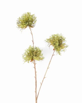 Artificial Flower 15*9*90cm Dandelion single stem GS-27926047 2026Jul 3,000+ sqm showroom with thousands of artificial flowers, plants & trees ready for global sourcing. Artificial Flower 15*9*90cm Dandelion single stem GS-27926047 2026Jul 3,000+ sqm showroom with thousands of artificial flowers, plants & trees ready for global sourcing.