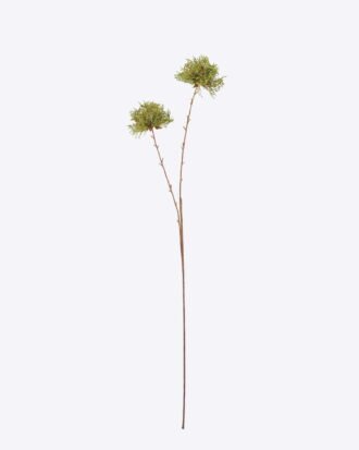 Artificial Flower 13*9*80cm Dandelion single stem GS-27926048 2026Jul 3,000+ sqm showroom with thousands of artificial flowers, plants & trees ready for global sourcing. Artificial Flower 13*9*80cm Dandelion single stem GS-27926048 2026Jul 3,000+ sqm showroom with thousands of artificial flowers, plants & trees ready for global sourcing.
