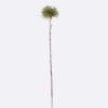 Artificial Flower Dandelion single stem GS-27926049-G1_2 Artificial Flower 9*9*73cm Dandelion single stem GS-27926049-G1 2026Jul 3,000+ sqm showroom with thousands of artificial flowers, plants & trees ready for global sourcing.